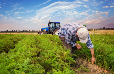 Produits Phytopharmaceutiques